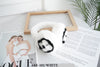 Fashion Fur Earmuffs #AE101 - Multiple Colors (6PC)