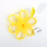 Small Fascinator #FSCS01 (PC)