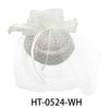 Fascinators #HT0524 - Multiple Colors (PC)