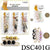 Fashion Slouch Socks Jewelry #DSC401G (12PC)