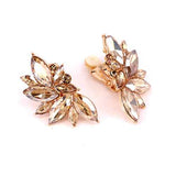 Fashion Crystal Cluster Clip-On Earrings #KE8228 - Multiple Colors (PC)