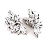 Fashion Crystal Cluster Clip-On Earrings #KE8228 - Multiple Colors (PC)