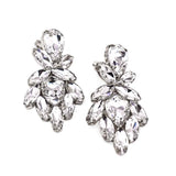 Fashion Cluster Clip-On Statement Earrings #KE8230 - Multiple Colors (PC)