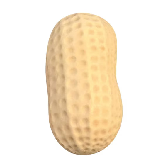 Crunchy Peanut Squishy Toy #SQSHPNT (12PC)