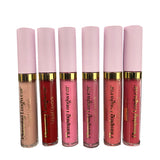 Beauty Treat Long Wear Plumping Lipstick #565 (24PC)