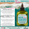 Difeel Sea Moss Anti Shedding Premium Hair Oil 7.1oz (6PC)