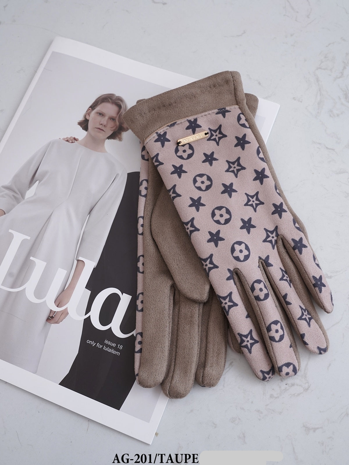 Fashion Design Winter Gloves #AG201 - Multiple Colors (PC)