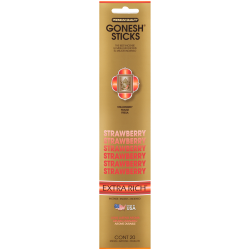 Gonesh Incense Sticks (4PC)