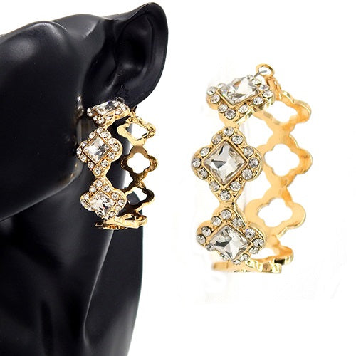 Fashion Statement Hoop Earrings W/Stones #YE3606 - Multiple Colors (PC)