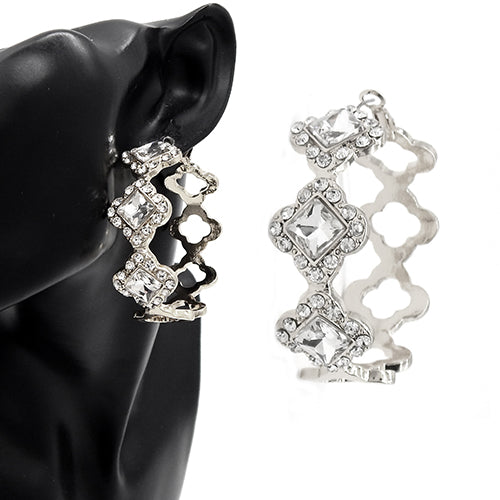 Fashion Statement Hoop Earrings W/Stones #YE3606 - Multiple Colors (PC)