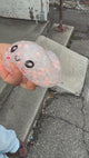 MysterY Glow in the Dark Dumpling Squishy Toy #DMPBALI (12PC)