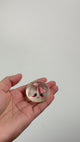 Extra Mini 3.5cm Christmas Sugar Little Bun #CRDP-XSHV (24PC)