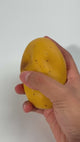 Crunchy Potato Squishy Toy #CRCH-POT (12PC)