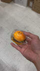 Big Fruit Squishy Toy Assortment #SQSH263 (20PC)