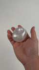 Vaseline / Coconut Oil  Ball Squishy Toy #VSSQ-SHN (12PC)