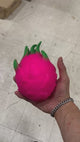 Large Dragon Fruit Squishy Toy #XLSQDF (6PC)