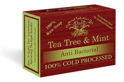 wholesale-cold-processed-soap-tea-tree-mint