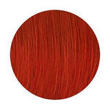 #K Kiss Express Semi Permanent Colors (PC)