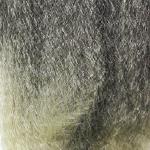 Bijoux 3X Ghana Pre Stretched Braid 50"