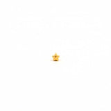 Studex Gold Plated Star Crystal Studs #501Y (12PC)
